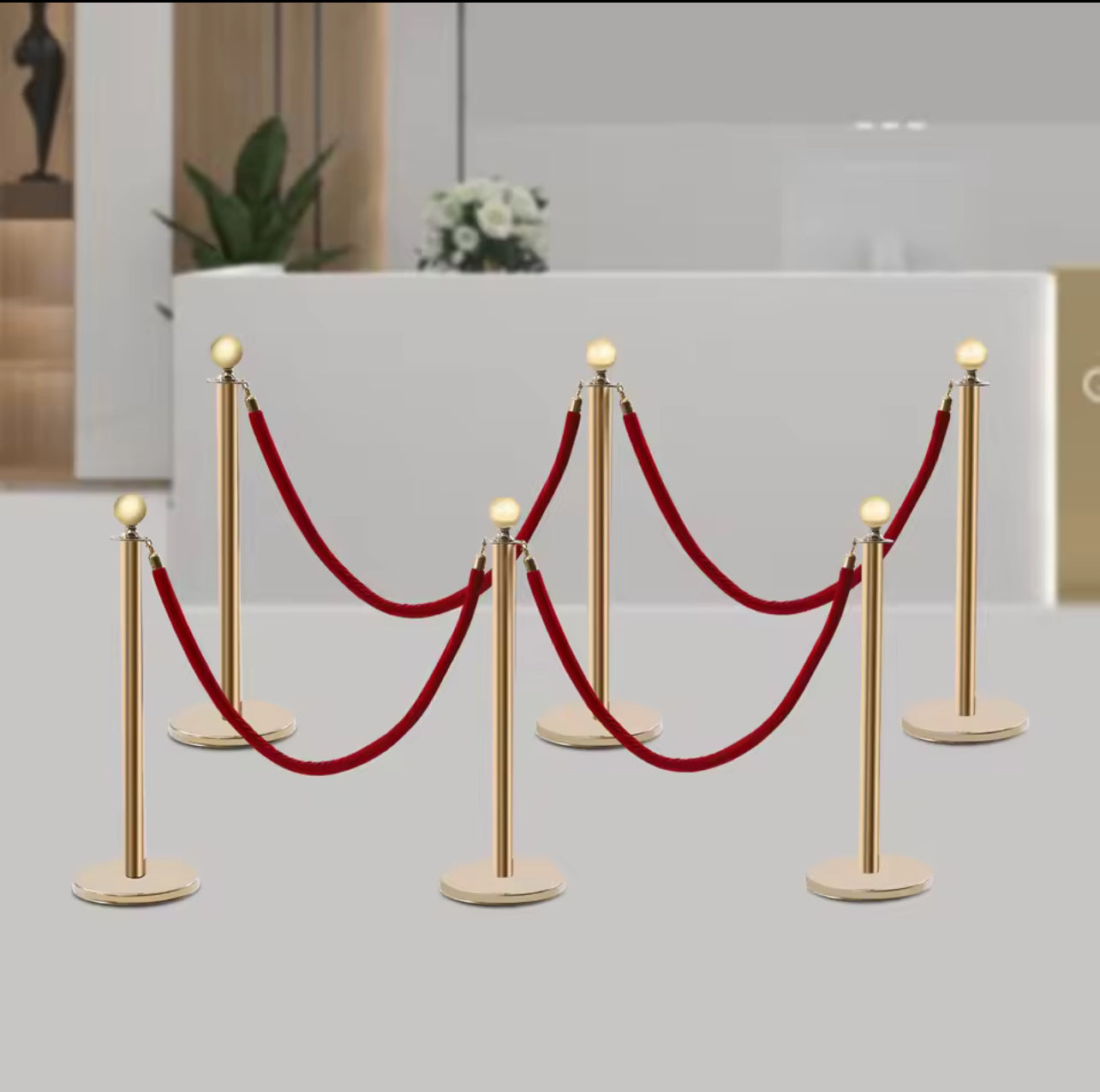 Crowd Control Stanchion Posts with Red Velvet Rope