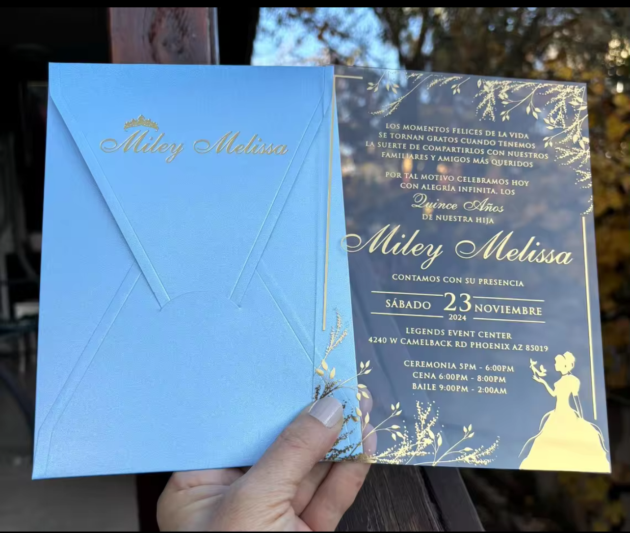 Transparent Acrylic Invitation Cards (set of 100)