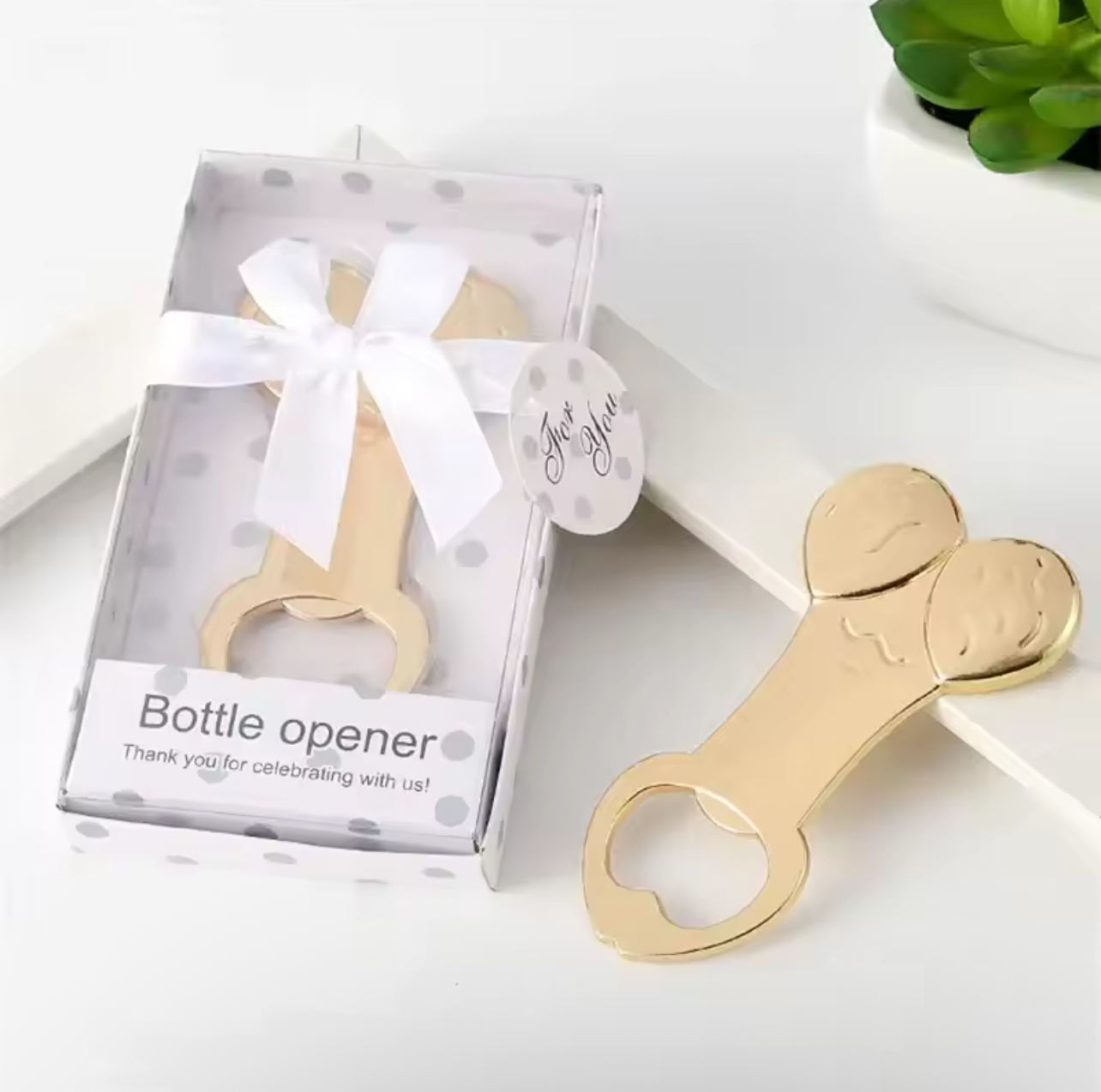 Alloy Funny Penis Bottle Openers (set of 10)